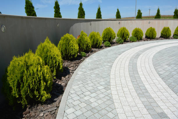 Best Driveway Paving Contractor  in Chenango Bridge, NY